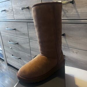 Tall Chestnut Uggs